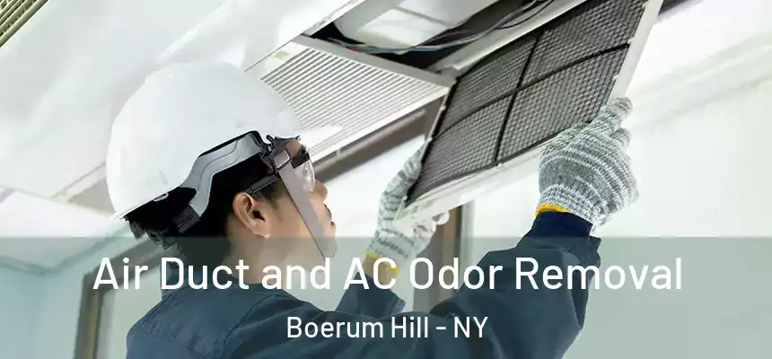  Air Duct and AC Odor Removal Boerum Hill - NY