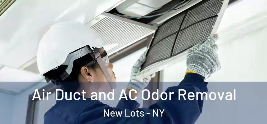 Air Duct and AC Odor Removal New Lots - NY