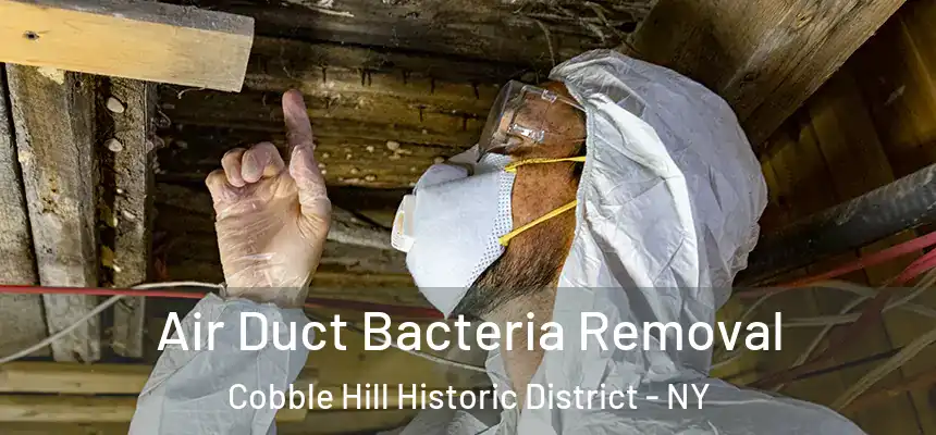  Air Duct Bacteria Removal Cobble Hill Historic District - NY