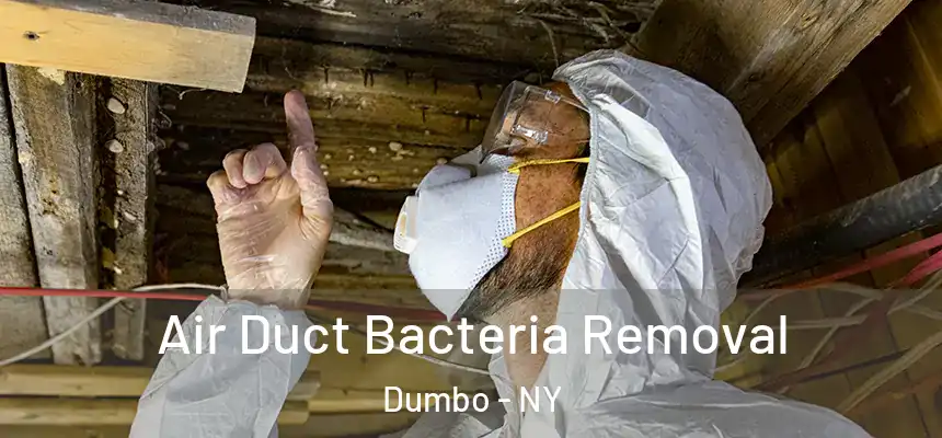 Air Duct Bacteria Removal Dumbo - NY