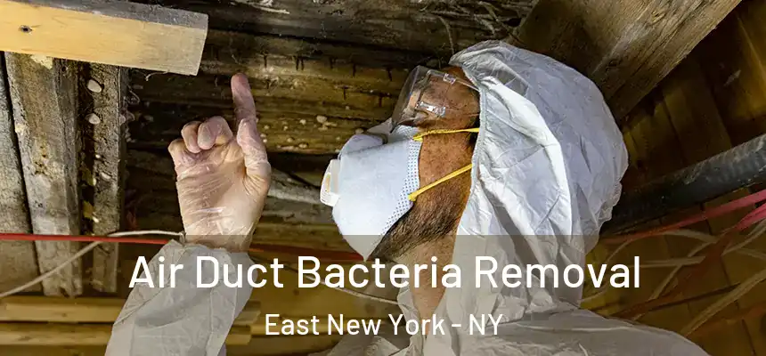 Air Duct Bacteria Removal East New York - NY