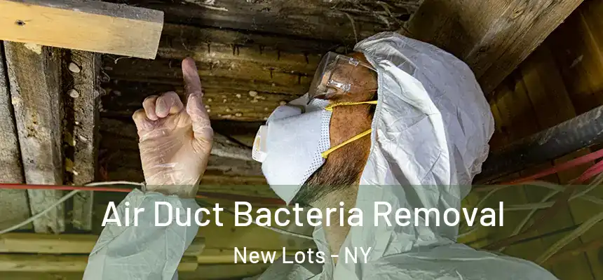  Air Duct Bacteria Removal New Lots - NY