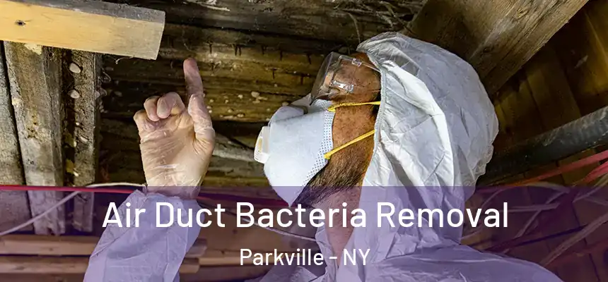  Air Duct Bacteria Removal Parkville - NY