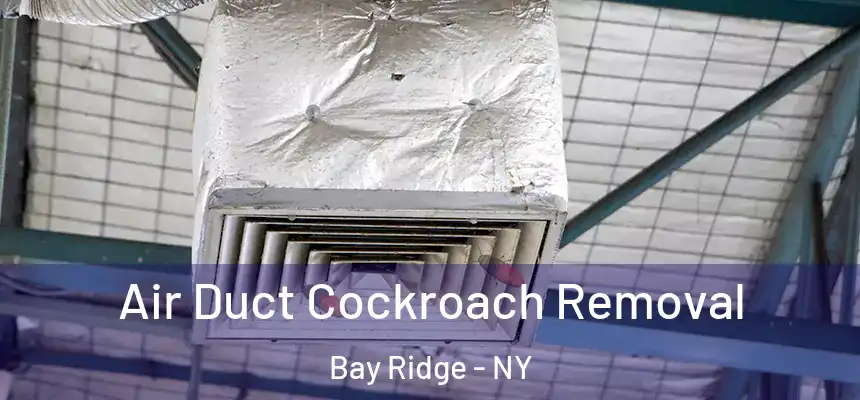  Air Duct Cockroach Removal Bay Ridge - NY