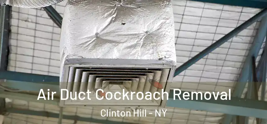  Air Duct Cockroach Removal Clinton Hill - NY