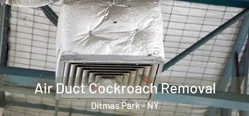  Air Duct Cockroach Removal Ditmas Park - NY