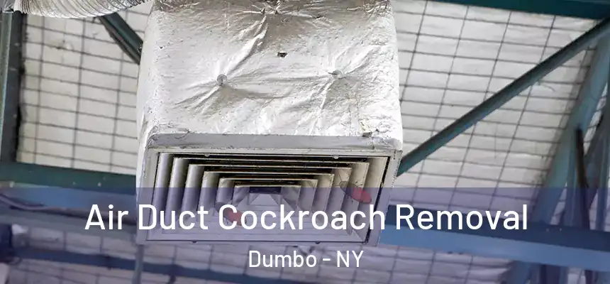  Air Duct Cockroach Removal Dumbo - NY