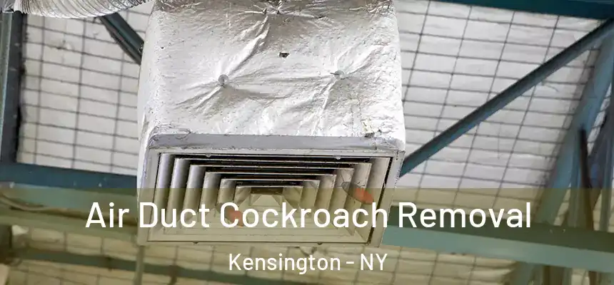  Air Duct Cockroach Removal Kensington - NY