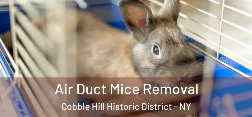 Air Duct Mice Removal Cobble Hill Historic District - NY