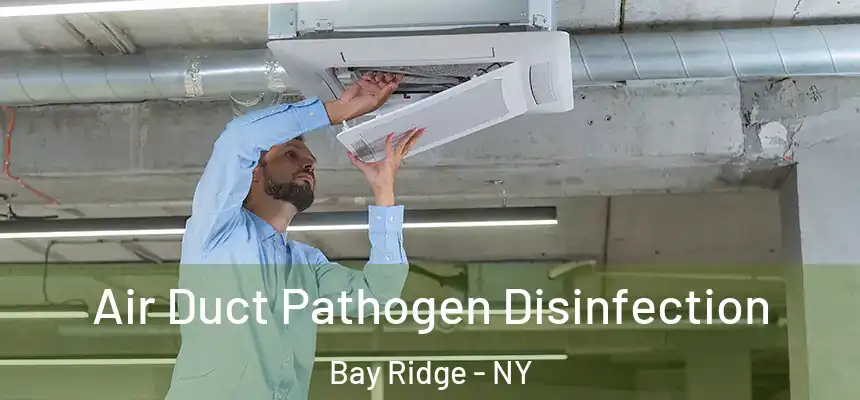 Air Duct Pathogen Disinfection Bay Ridge - NY