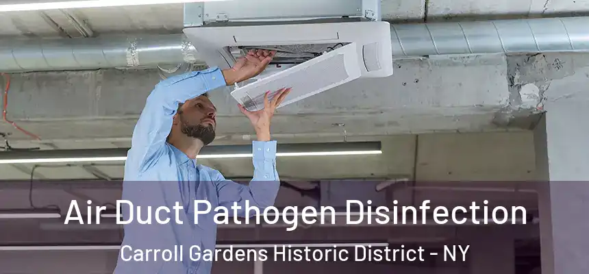 Air Duct Pathogen Disinfection Carroll Gardens Historic District - NY