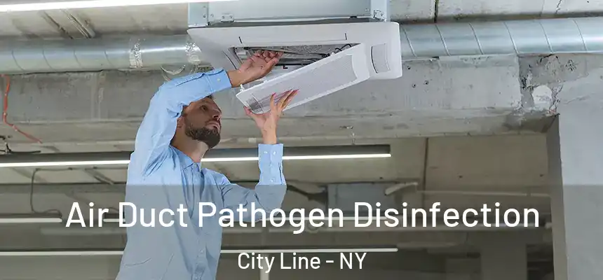 Air Duct Pathogen Disinfection City Line - NY