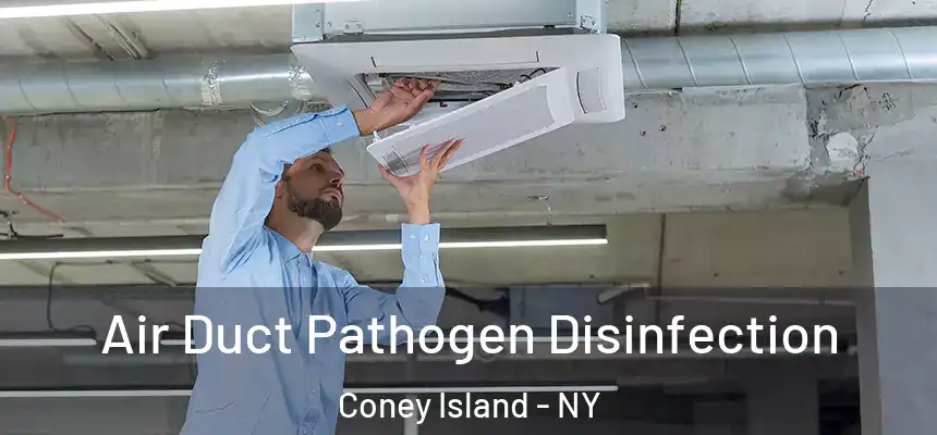Air Duct Pathogen Disinfection Coney Island - NY