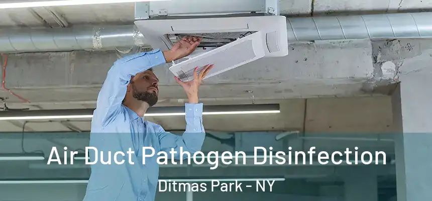  Air Duct Pathogen Disinfection Ditmas Park - NY