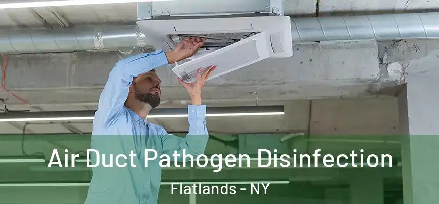 Air Duct Pathogen Disinfection Flatlands - NY