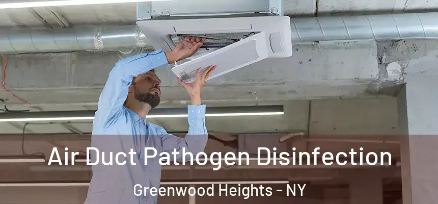 Air Duct Pathogen Disinfection Greenwood Heights - NY