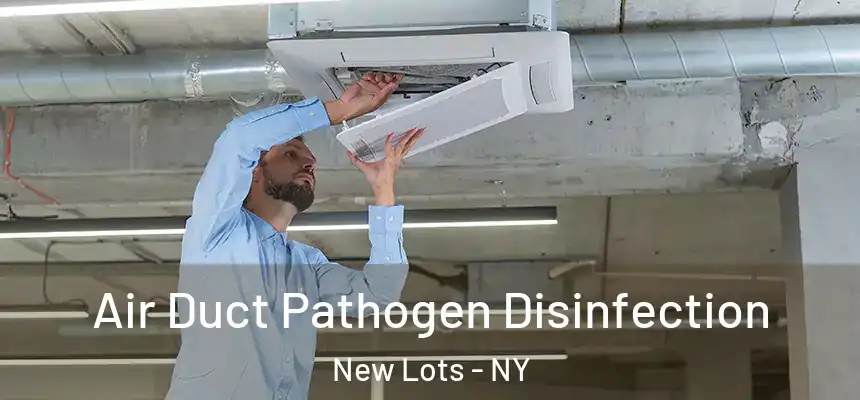  Air Duct Pathogen Disinfection New Lots - NY