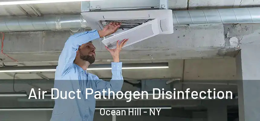  Air Duct Pathogen Disinfection Ocean Hill - NY