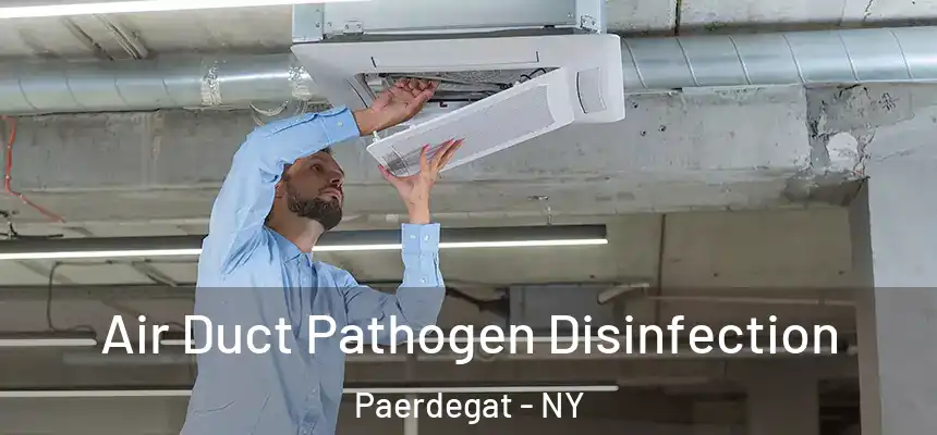 Air Duct Pathogen Disinfection Paerdegat - NY