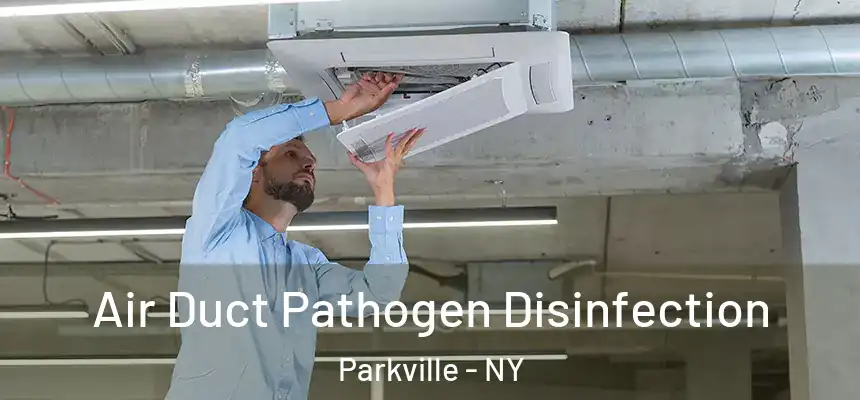  Air Duct Pathogen Disinfection Parkville - NY