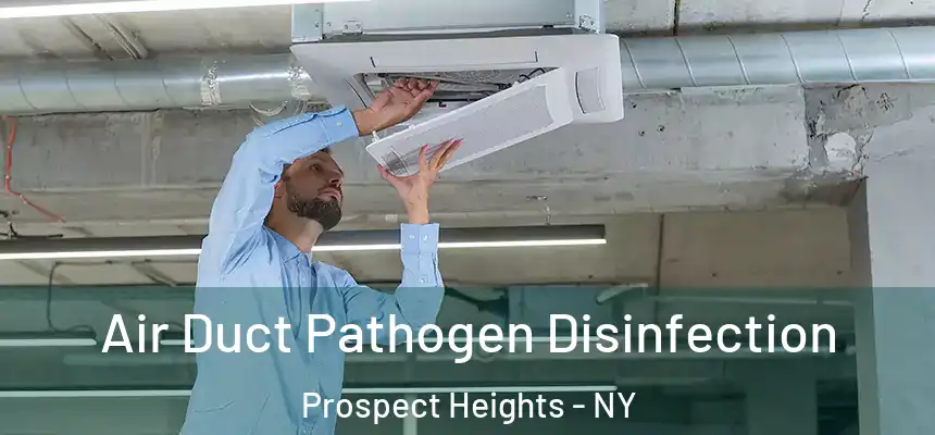  Air Duct Pathogen Disinfection Prospect Heights - NY