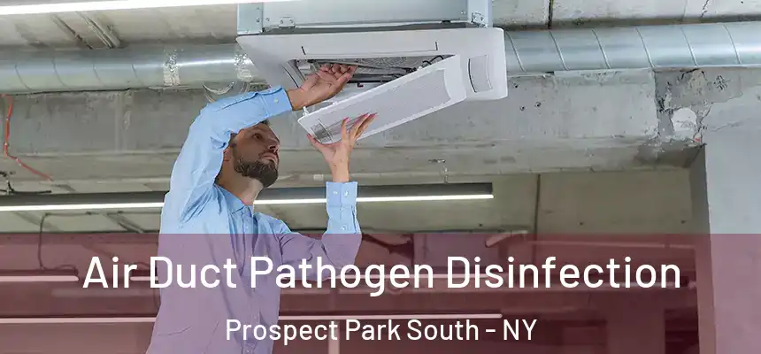  Air Duct Pathogen Disinfection Prospect Park South - NY