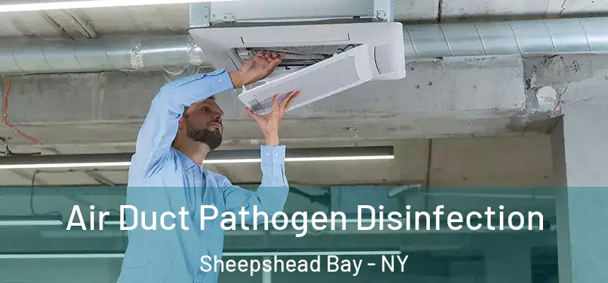  Air Duct Pathogen Disinfection Sheepshead Bay - NY