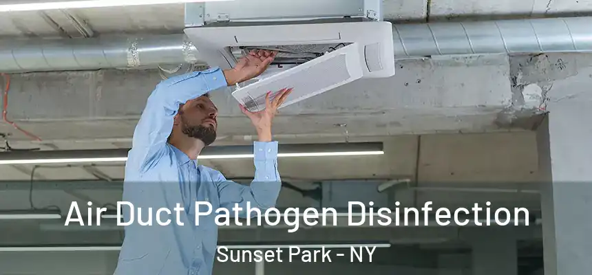 Air Duct Pathogen Disinfection Sunset Park - NY
