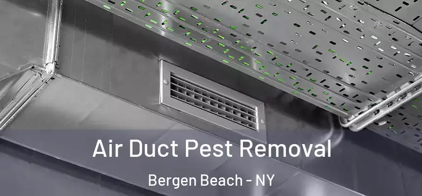 Air Duct Pest Removal Bergen Beach - NY