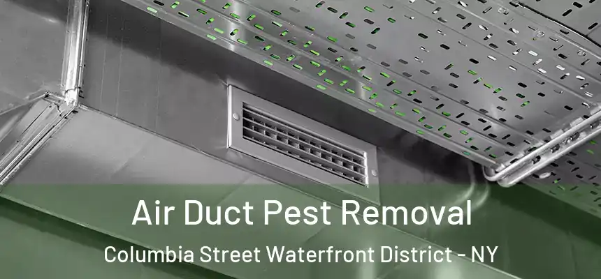  Air Duct Pest Removal Columbia Street Waterfront District - NY
