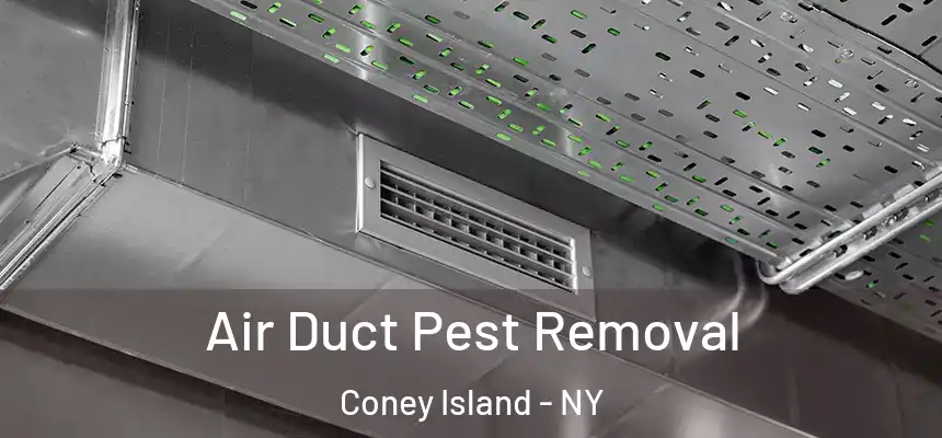 Air Duct Pest Removal Coney Island - NY