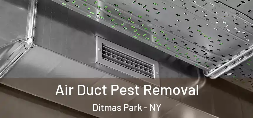 Air Duct Pest Removal Ditmas Park - NY