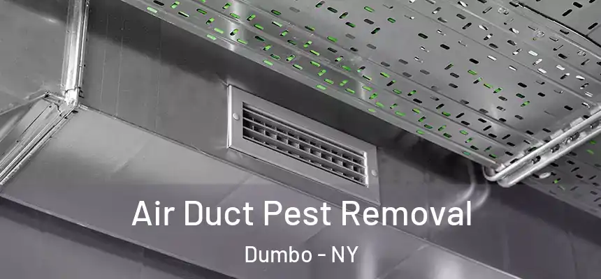 Air Duct Pest Removal Dumbo - NY