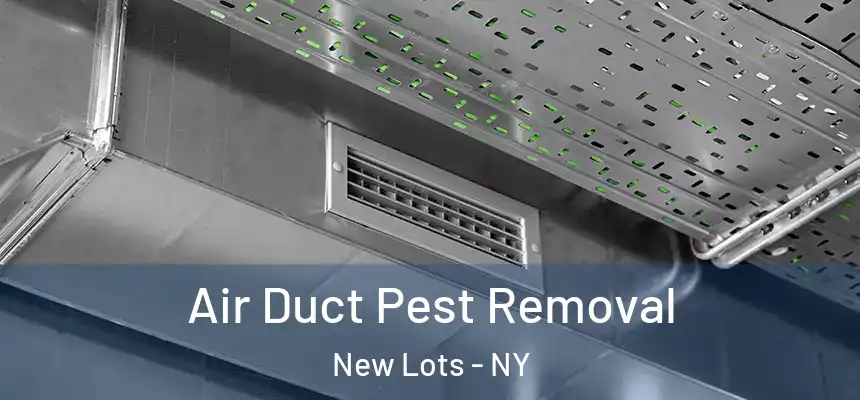 Air Duct Pest Removal New Lots - NY