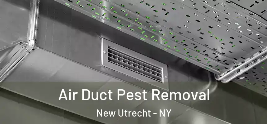  Air Duct Pest Removal New Utrecht - NY