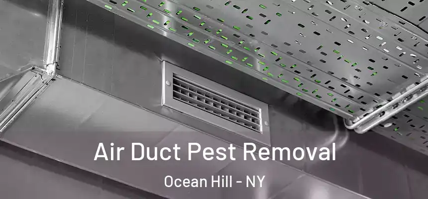 Air Duct Pest Removal Ocean Hill - NY