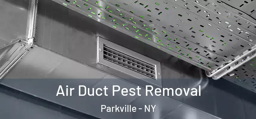 Air Duct Pest Removal Parkville - NY