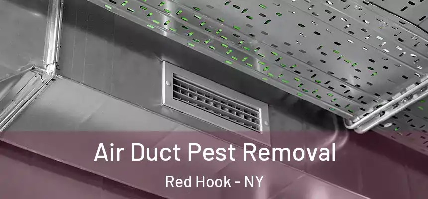  Air Duct Pest Removal Red Hook - NY