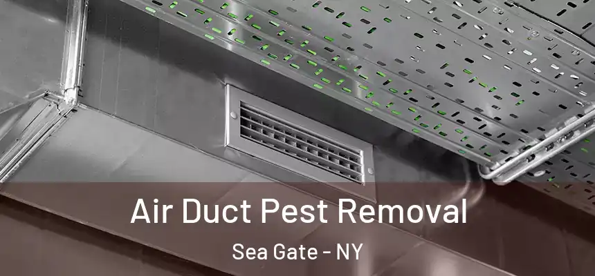Air Duct Pest Removal Sea Gate - NY