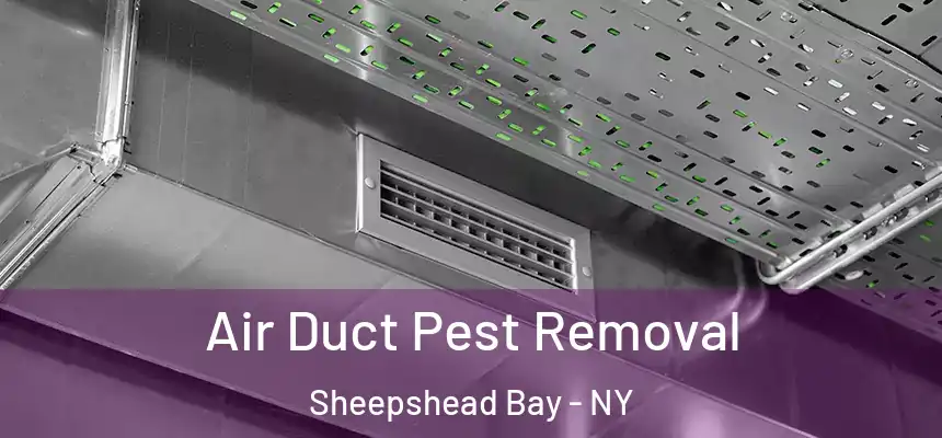 Air Duct Pest Removal Sheepshead Bay - NY