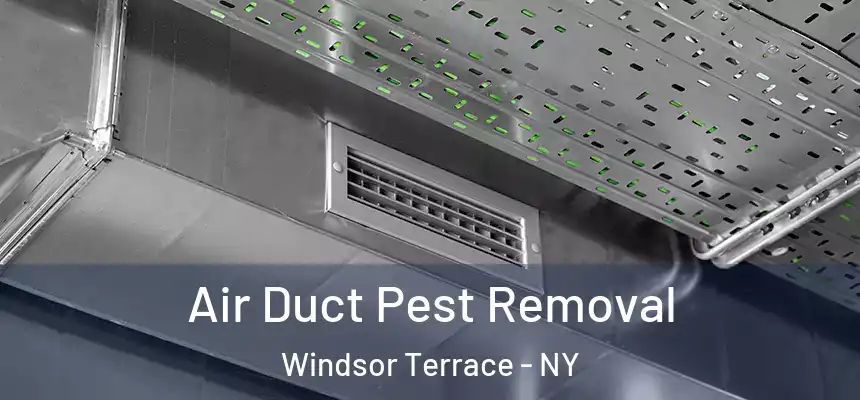 Air Duct Pest Removal Windsor Terrace - NY