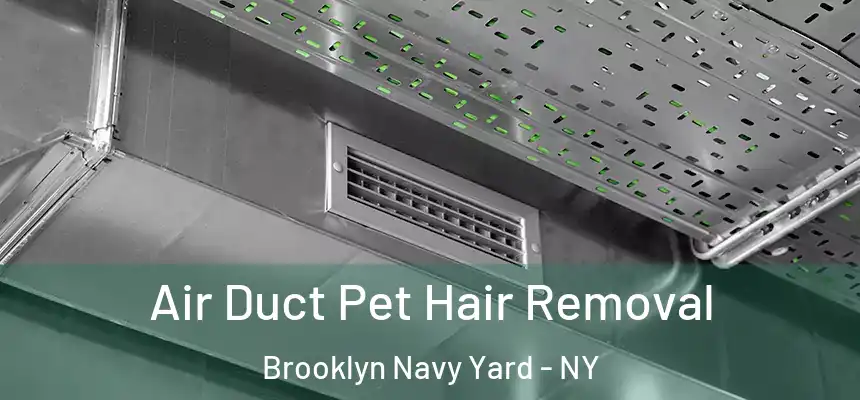  Air Duct Pet Hair Removal Brooklyn Navy Yard - NY