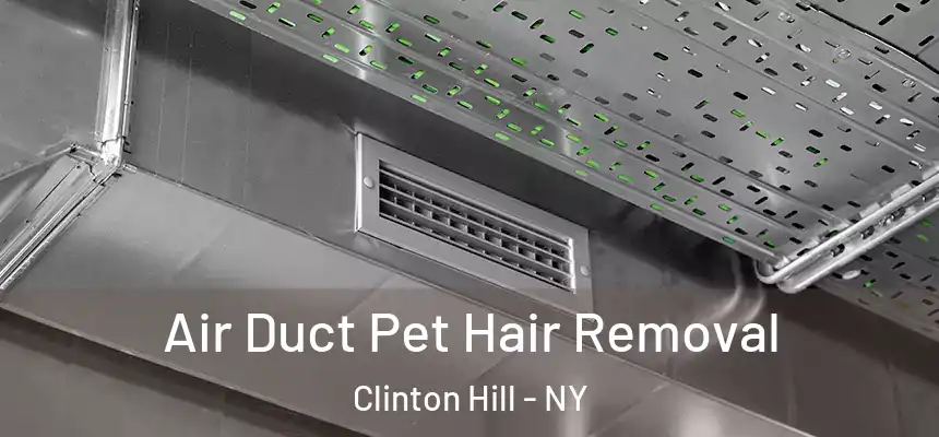  Air Duct Pet Hair Removal Clinton Hill - NY