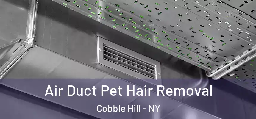  Air Duct Pet Hair Removal Cobble Hill - NY