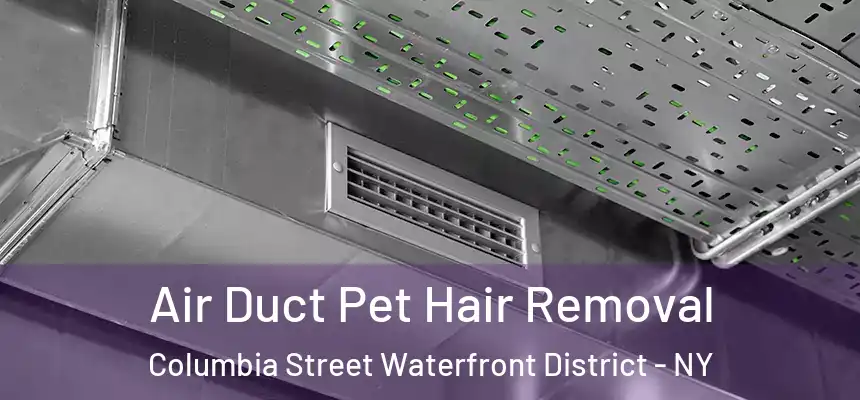  Air Duct Pet Hair Removal Columbia Street Waterfront District - NY
