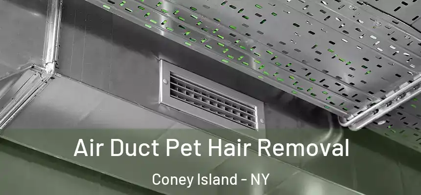 Air Duct Pet Hair Removal Coney Island - NY
