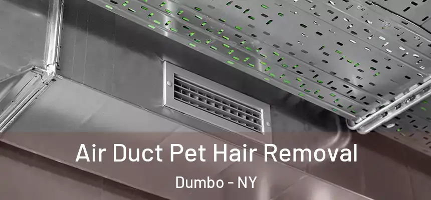 Air Duct Pet Hair Removal Dumbo - NY