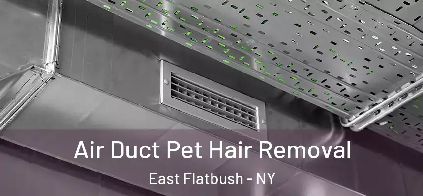  Air Duct Pet Hair Removal East Flatbush - NY