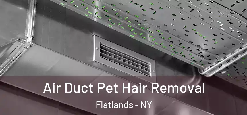 Air Duct Pet Hair Removal Flatlands - NY