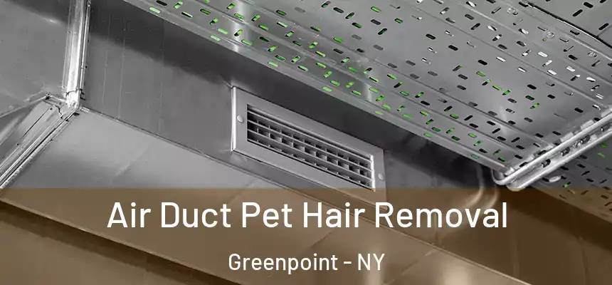 Air Duct Pet Hair Removal Greenpoint - NY
